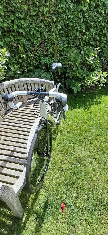 Used Trek Domane AL 4 Disc 2021 2021 Road & Gravel, Weiß — image 5 of 6
