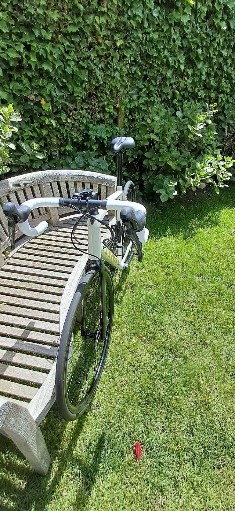 Used Trek Domane AL 4 Disc 2021 2021 Road & Gravel, Weiß — image 5 of 6