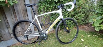 Used Trek Domane AL 4 Disc 2021 2021 Road & Gravel