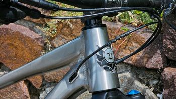 Used Banshee Prime V3.1 2023 Raw 2023 Mountainbike — image 9 of 15