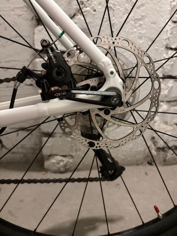 Used Trek Domane AL 3 Disc 2022 2022 Road & Gravel, Weiß — image 36 of 71