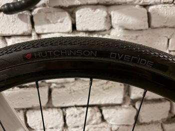 Used Trek Domane AL 3 Disc 2022 2022 Road & Gravel, Weiß — image 10 of 71