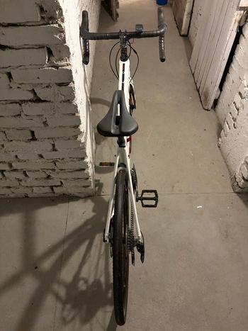 Used Trek Domane AL 3 Disc 2022 2022 Road & Gravel, Weiß — image 59 of 71