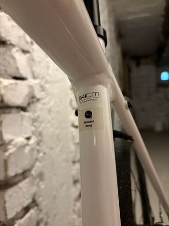 Used Trek Domane AL 3 Disc 2022 2022 Road & Gravel, Weiß — image 24 of 71