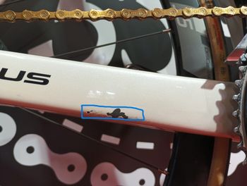 Used Focus Focus Izalco Max 8.7 Disc 2024 Road & Gravel — image 12 of 12