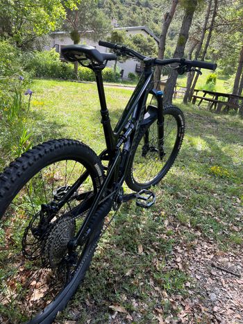 Used Canyon Spectral 29 CF 7 2023 2023 Mountainbike, Black, 29 — image 4 of 10
