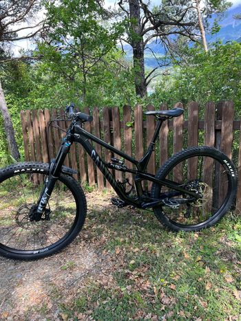 Used Canyon Spectral 29 CF 7 2023 2023 Mountainbike, Black, 29 — image 7 of 10
