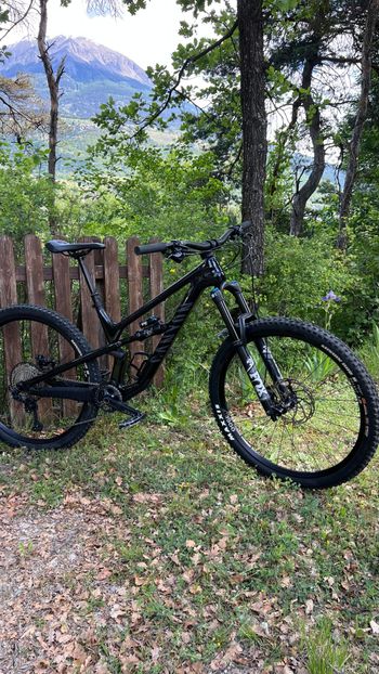 Used Canyon Spectral 29 CF 7 2023 2023 VTT