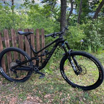 Used Canyon Spectral 29 CF 7 2023 2023 Mountainbike, Black, 29 — image 2 of 10