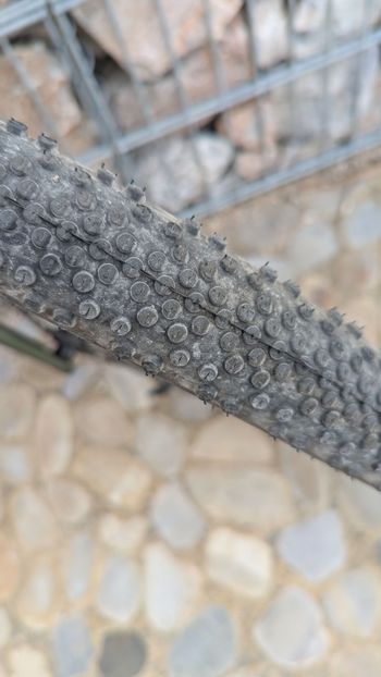 Used Scott Speedster 20 2023 2023 Road & Gravel, Grün — image 14 of 15