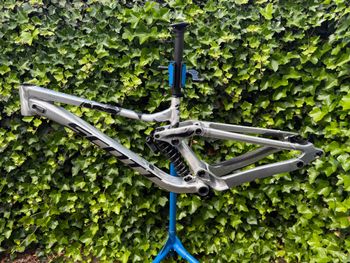 Used Scott Gambler 20 2026 Frameset 2026 Mountainbike — image 2 of 12