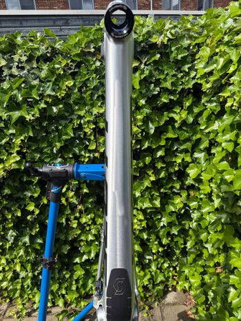Used Scott Gambler 20 2026 Frameset 2026 Mountainbike — image 12 of 12