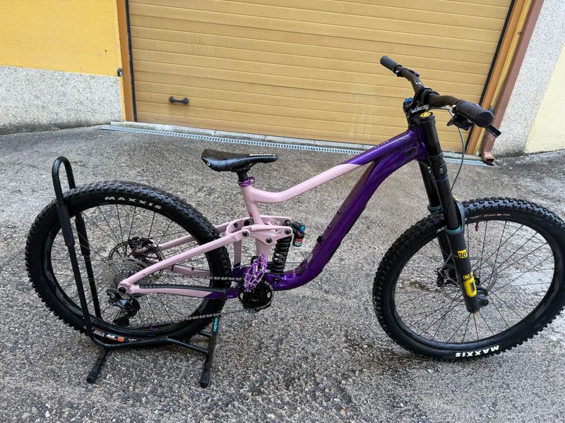 Tweedehands Giant Reign SX 2023 Frameset 2023 MTB