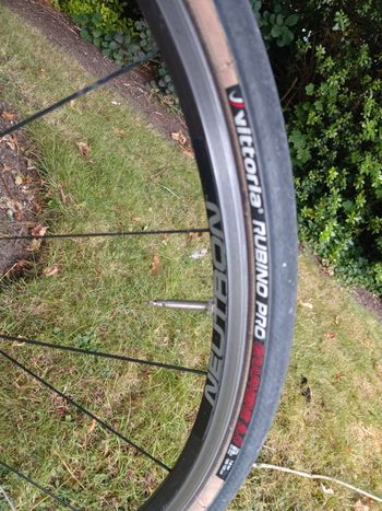 Used Battaglin Plus 1996 Road & Gravel, White — image 16 of 16