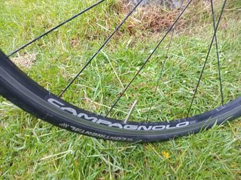 Used Battaglin Plus 1996 Road & Gravel, Weiß — image 13 of 25