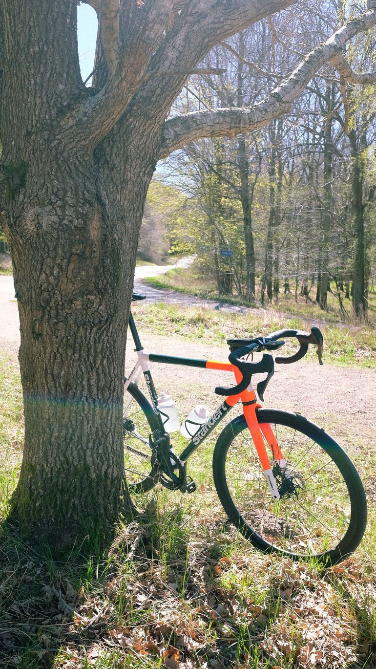 Used Standert Kreissäge RS, 2021 2021 Road & Gravel — image 2 of 18
