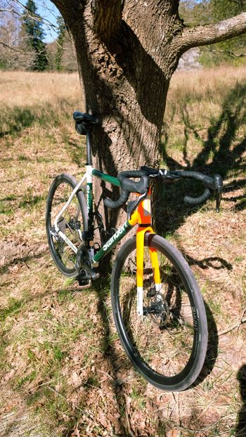 Used Standert Kreissäge RS, 2021 2021 Road & Gravel — image 5 of 18