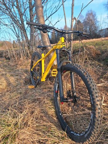 Used Kona KONA HONZO - 29" Mountainbike - Größe M - Neuwertig 2024 Mountainbike, Grün — image 14 of 15