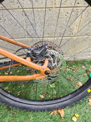 Used Cannondale Habit HT 1 2024 2024 Mountainbike, Orange, 29 — image 6 of 11