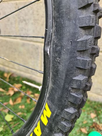 Used Cannondale Habit HT 1 2024 2024 Mountainbike, Orange, 29 — image 8 of 11