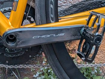 Used Cinelli Cinelli Nemo Rennrad Größe M/L 56 Columbus Stahl Campagnolo 2023 Road & Gravel — image 8 of 10