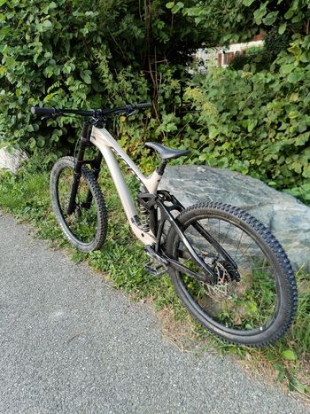 Used Giant Glory Advanced 2024 2024 Mountainbike, Light Gray, 29, 27.5 — image 2 of 7