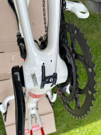Used Red Bull (Rose) Red Bull Carbon SL 2009 Road & Gravel — image 12 of 17