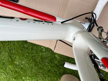 Used Red Bull (Rose) Red Bull Carbon SL 2009 Road & Gravel — image 14 of 17