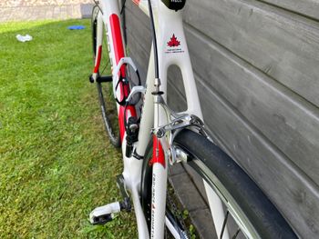 Used Red Bull (Rose) Red Bull Carbon SL 2009 Road & Gravel — image 8 of 17