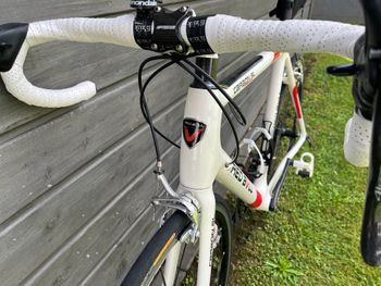 Used Red Bull (Rose) Red Bull Carbon SL 2009 Road & Gravel — image 9 of 17