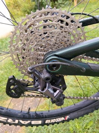 Used BH LYNX RACE CARBON RC 6.0 2022 2022 Mountainbike — image 3 of 13