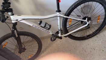 Used Cannondale Trail Women's 7 2024 2024 MTB