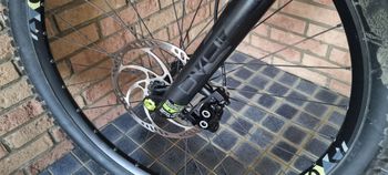 Used Radon CRAGGER 8.0 2021 2021 Mountainbike, Verde — image 4 of 11