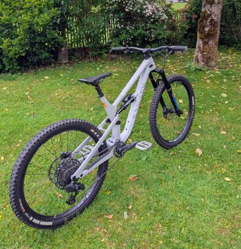 Used Canyon Spectral Mullet CF 8 CLLCTV 2024 2024 MTB