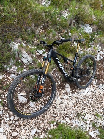 Used Megamo NATIVE 01 2025 2025 Mountainbike, Black — image 3 of 3