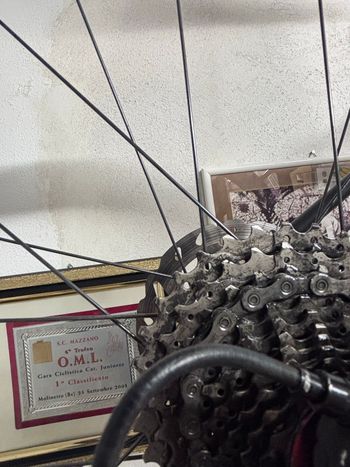 Used Giant TCR Advanced Pro Disc 2 2023 2023 Road & Gravel, Schwarz — image 8 of 8