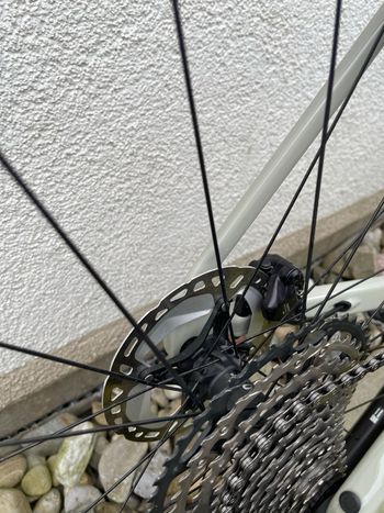 Used Canyon Grizl CF 8 Di2 2026 2026 Road & Gravel, Light Gray — image 11 of 22
