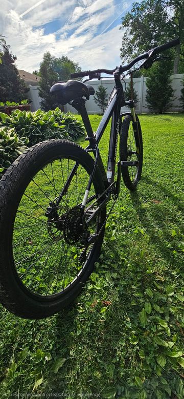 Used Cannondale Trail 7.1 2023 2023 Mountainbike, Black, 29 — image 4 of 4