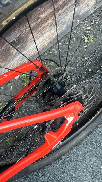 Used Specialized Turbo Levo Hardtail 2021 2021 Mountainbike, Orange, 29 — image 4 of 7