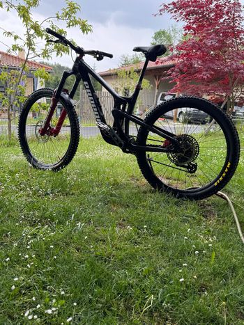 Used Propain SPINDRIFT 5 CF Ultimate 2026 2026 Mountainbike, Black, 29 — image 5 of 6