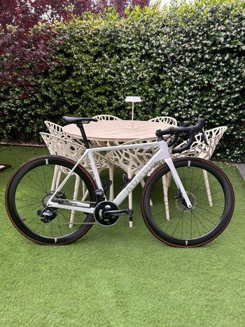 Used Aurum Aurum Magma Montaje Enve 2024 Road & Gravel
