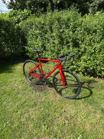 Used Scott Speedster Shimano Sora 2023 Road & Gravel, Red — image 2 of 14