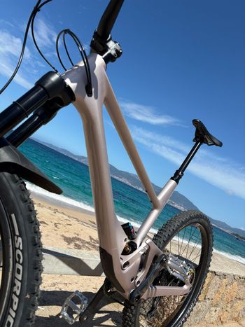 Used SCOR 4060 SRAM X01 Eagle 2025 Mountainbike — image 8 of 13