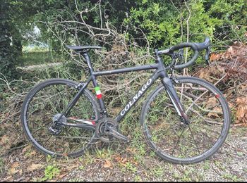 Used Colnago C60 Campagnolo Super Record 2021 Road & Gravel