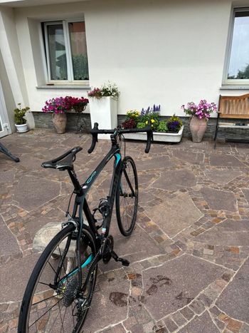 Used Bianchi Infinito CV Chorus 2019 2019 Road & Gravel — image 2 of 8