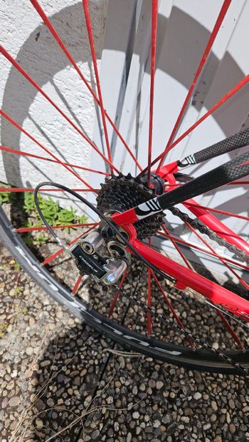 Used Felt Felt Custom Campagnolo Record 2007 Road & Gravel, Rojo — image 3 of 6