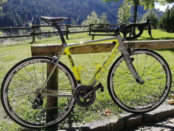 Used Basso Astra Shimano Ultegra 2017 Road & Gravel, Hellgrau — image 3 of 4