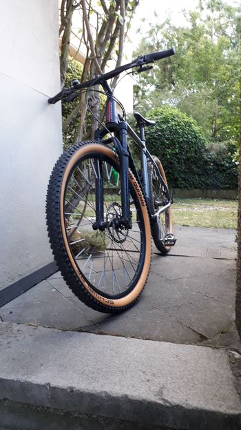 Used Stevens Colorado 401 2022 2022 Mountainbike, Grigio chiaro — image 10 of 11