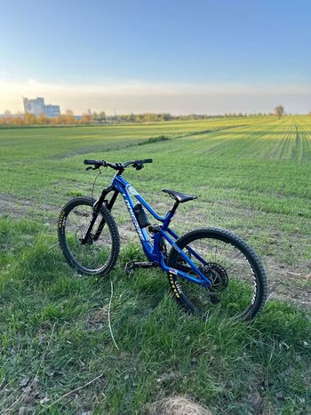 Used Lapierre Spicy CF Team 2023 2023 Mountainbike, Blue — image 2 of 7