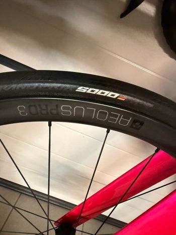 Used Trek Madone SL 6 Disc 2020 2020 Road & Gravel, Purple — image 9 of 10